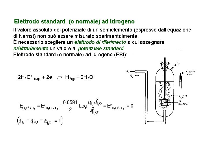 Elettrodo standard (o normale) ad idrogeno Il valore assoluto del potenziale di un semielemento