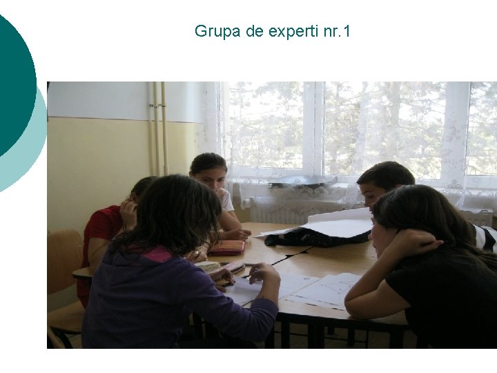 Grupa de experti nr. 1 