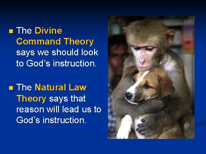 n The Divine Command Theory says we should look to God’s instruction. n The