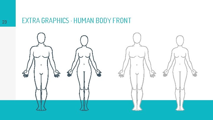 23 EXTRA GRAPHICS · HUMAN BODY FRONT 