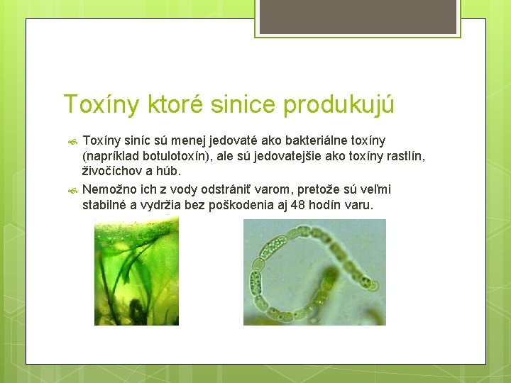 Toxíny ktoré sinice produkujú Toxíny siníc sú menej jedovaté ako bakteriálne toxíny (napríklad botulotoxín),