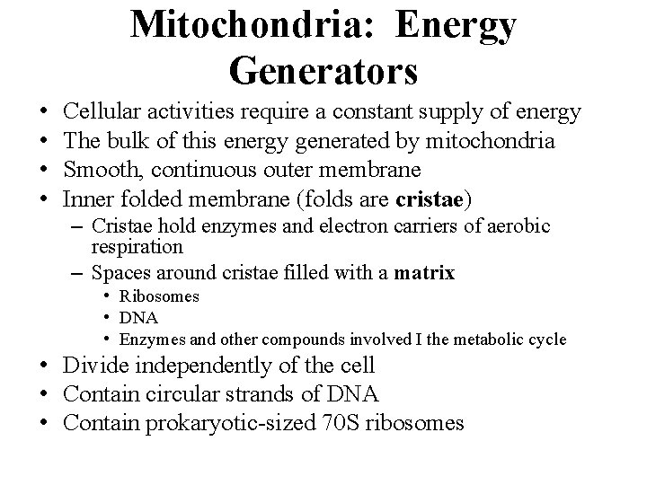 Mitochondria: Energy Generators • • Cellular activities require a constant supply of energy The Mitochondria: Energy Generators • • Cellular activities require a constant supply of energy The