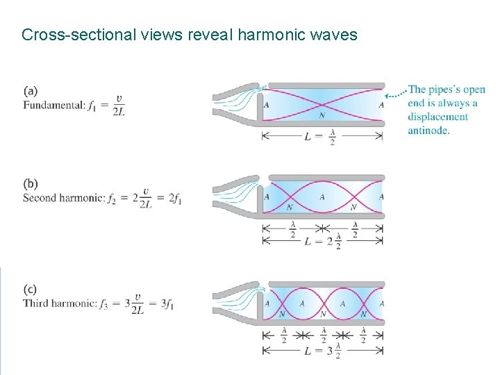 Cross-sectional views reveal harmonic waves 