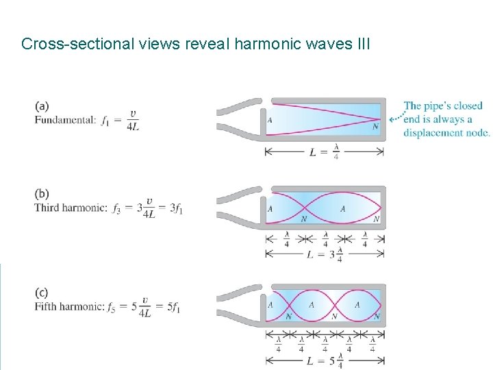 Cross-sectional views reveal harmonic waves III 