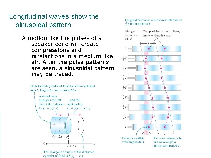 Longitudinal waves show the sinusoidal pattern A motion like the pulses of a speaker