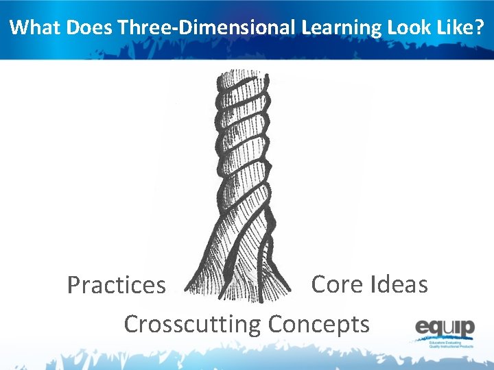 What Does Three-Dimensional Learning Look Like? Core Ideas Practices Crosscutting Concepts 