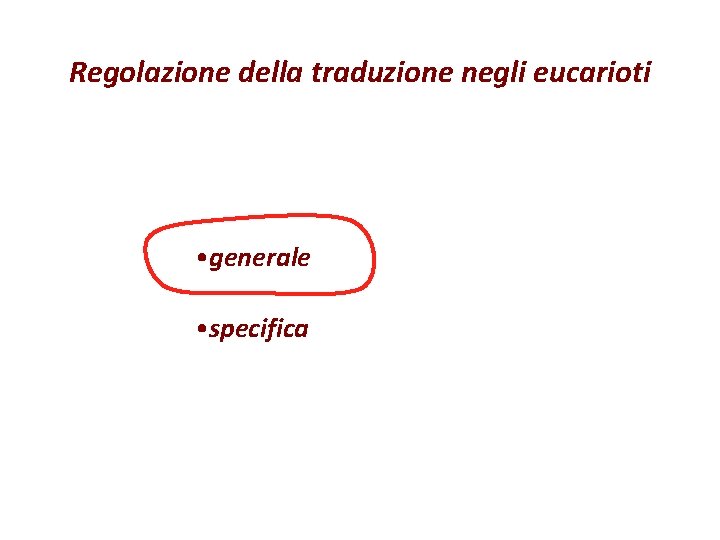 Regolazione della traduzione negli eucarioti • generale • specifica 