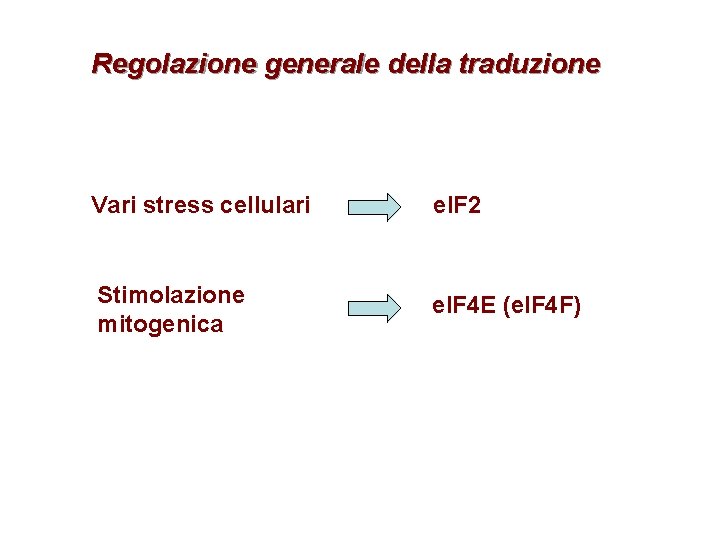 Regolazione generale della traduzione Vari stress cellulari e. IF 2 Stimolazione mitogenica e. IF