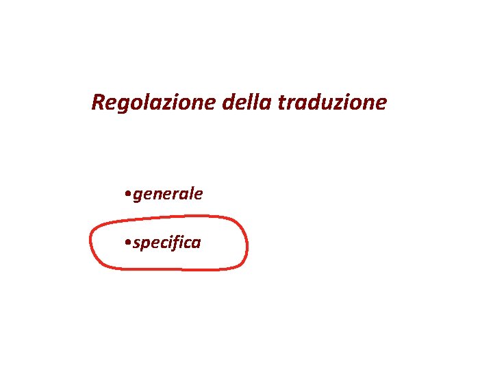 Regolazione della traduzione • generale • specifica 