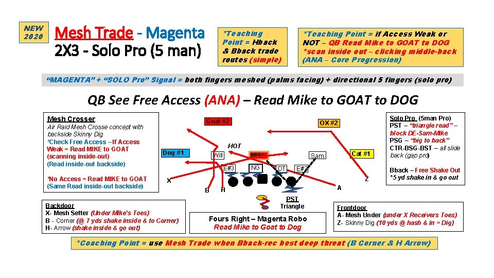 NEW 2020 Mesh Trade - Magenta 2 X 3 - Solo Pro (5 man)