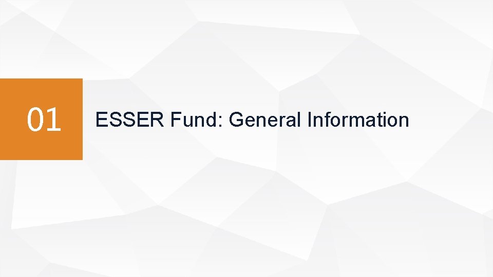 01 ESSER Fund: General Information 