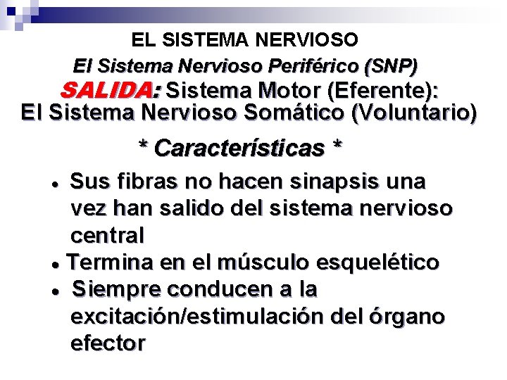 EL SISTEMA NERVIOSO El Sistema Nervioso Periférico (SNP) SALIDA: Sistema Motor (Eferente): El Sistema