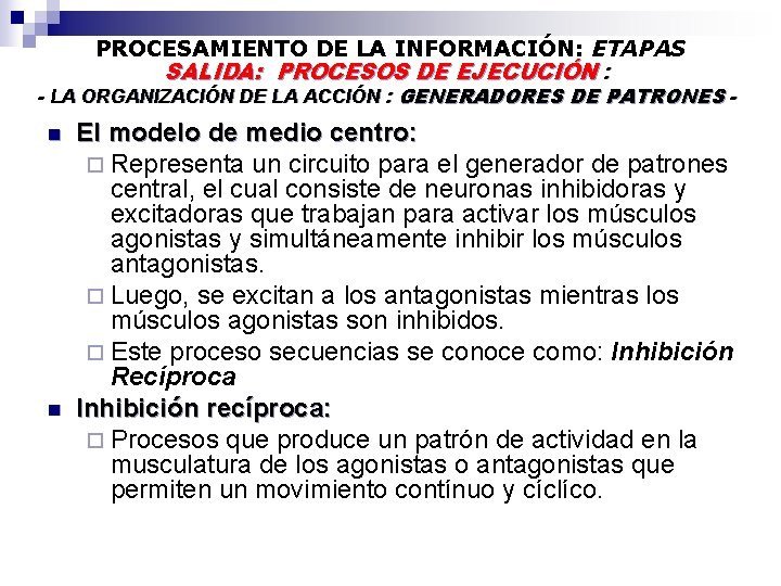 PROCESAMIENTO DE LA INFORMACIÓN: ETAPAS SALIDA: PROCESOS DE EJECUCIÓN : - LA ORGANIZACIÓN DE