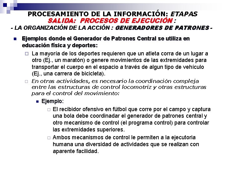 PROCESAMIENTO DE LA INFORMACIÓN: ETAPAS SALIDA: PROCESOS DE EJECUCIÓN : - LA ORGANIZACIÓN DE