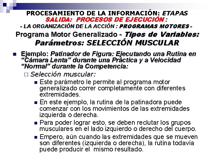 PROCESAMIENTO DE LA INFORMACIÓN: ETAPAS SALIDA: PROCESOS DE EJECUCIÓN : - LA ORGANIZACIÓN DE