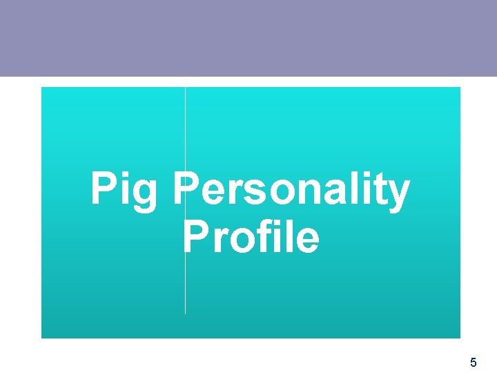 Pig Personality Profile 5 