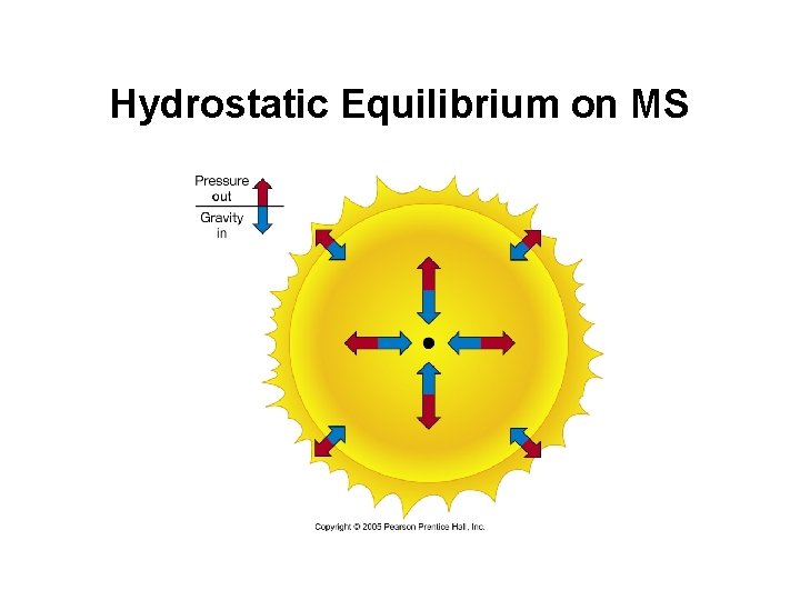 Hydrostatic Equilibrium on MS 