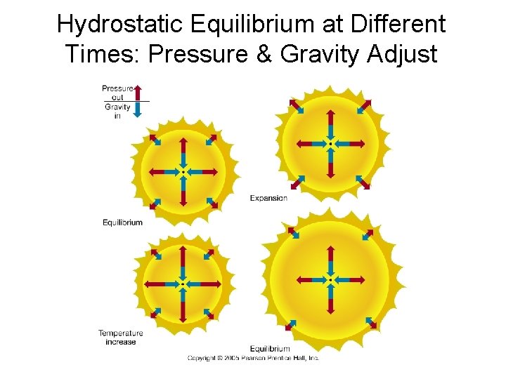 Hydrostatic Equilibrium at Different Times: Pressure & Gravity Adjust 