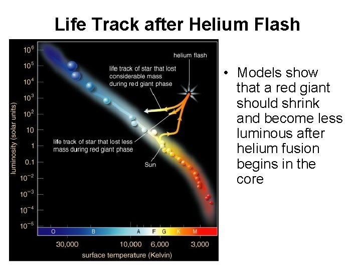 Life Track after Helium Flash • Models show that a red giant should shrink