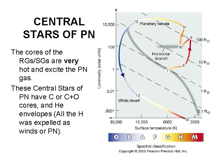 CENTRAL STARS OF PN The cores of the RGs/SGs are very hot and excite