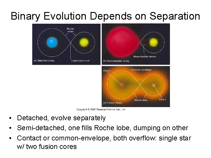 Binary Evolution Depends on Separation • Detached, evolve separately • Semi-detached, one fills Roche
