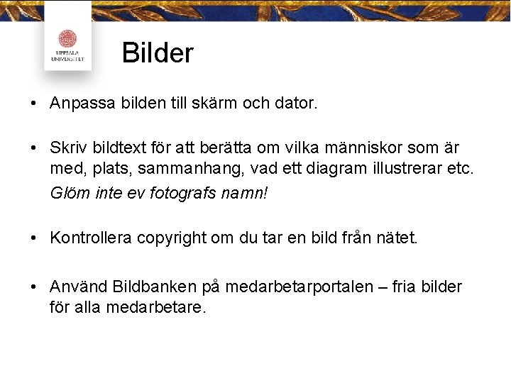 Bilder • Anpassa bilden till skärm och dator. • Skriv bildtext för att berätta