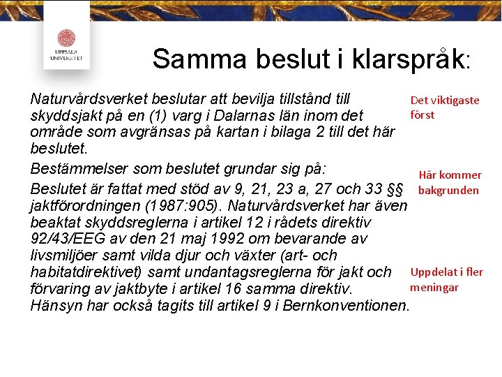 Samma beslut i klarspråk: Det viktigaste Naturvårdsverket beslutar att bevilja tillstånd till först skyddsjakt