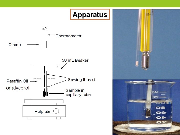 Apparatus 
