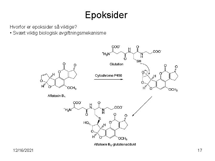 Epoksider Hvorfor er epoksider så viktige? • Svært viktig biologisk avgiftningsmekanisme 12/16/2021 17 