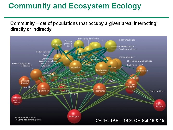 Community and Ecosystem Ecology Community = set of populations that occupy a given area,