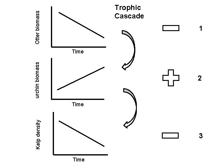 Kelp density urchin biomass Otter biomass Trophic Cascade 1 Time 2 Time 3 Time