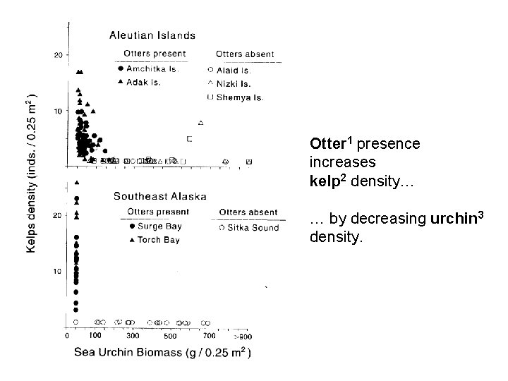 Otter 1 presence increases kelp 2 density… … by decreasing urchin 3 density. 