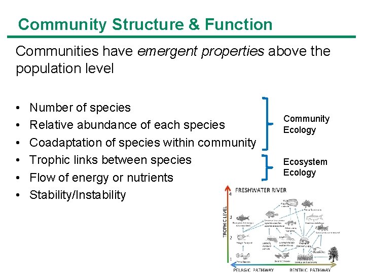 Community Structure & Function Communities have emergent properties above the population level • •