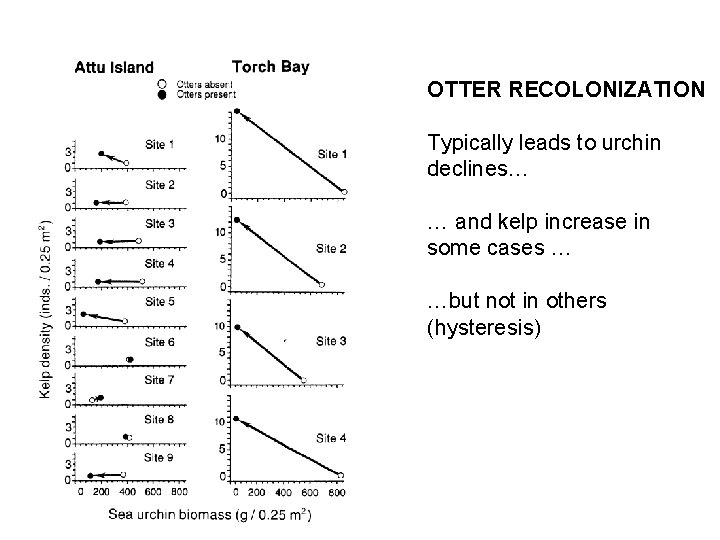 OTTER RECOLONIZATION Typically leads to urchin declines… … and kelp increase in some cases