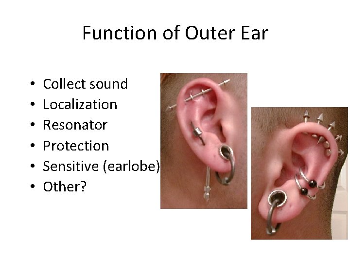 Function of Outer Ear • • • Collect sound Localization Resonator Protection Sensitive (earlobe)
