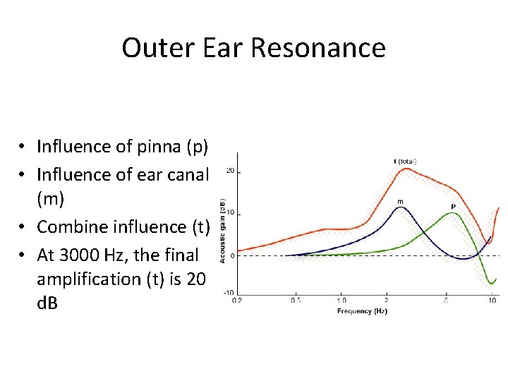 Outer Ear Resonance • Influence of pinna (p) • Influence of ear canal (m)