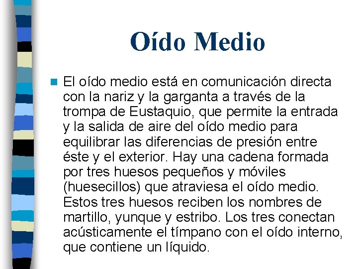 Oído Medio n El oído medio está en comunicación directa con la nariz y