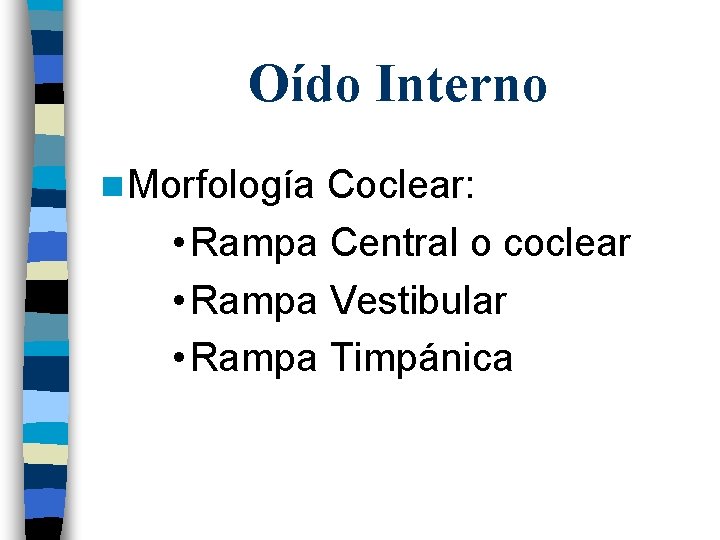 Oído Interno n Morfología Coclear: • Rampa Central o coclear • Rampa Vestibular •