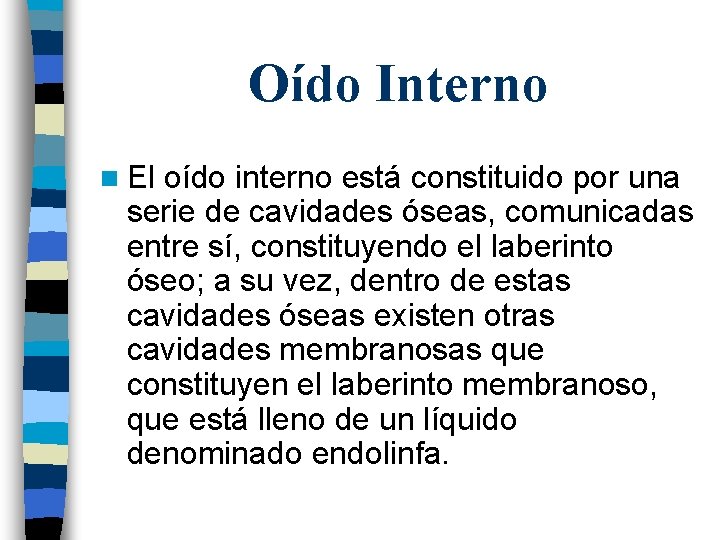 Oído Interno n El oído interno está constituido por una serie de cavidades óseas,