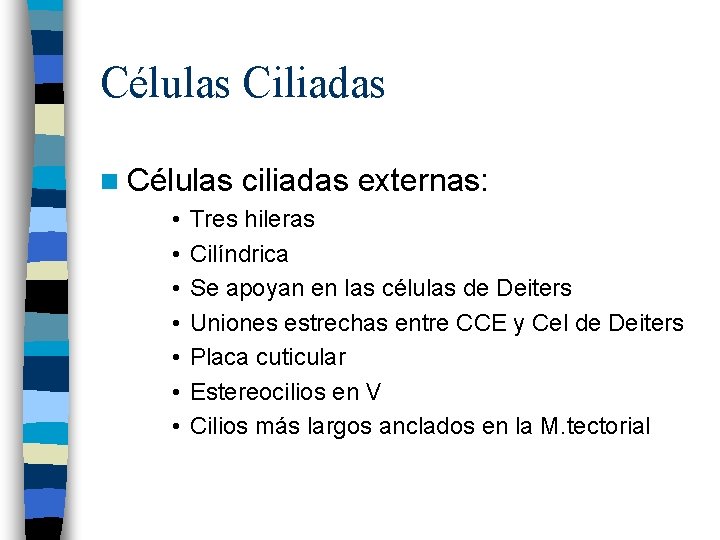 Células Ciliadas n Células • • ciliadas externas: Tres hileras Cilíndrica Se apoyan en