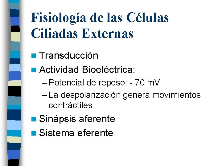 Fisiología de las Células Ciliadas Externas n Transducción n Actividad Bioeléctrica: – Potencial de