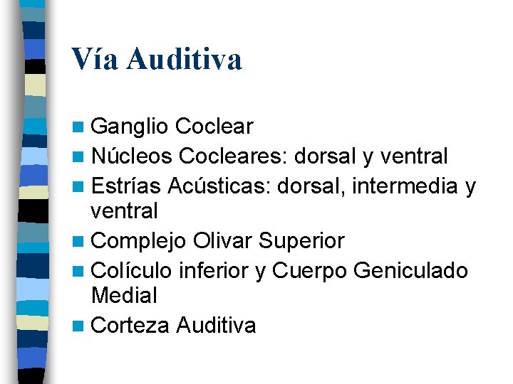 Vía Auditiva n Ganglio Coclear n Núcleos Cocleares: dorsal y ventral n Estrías Acústicas: