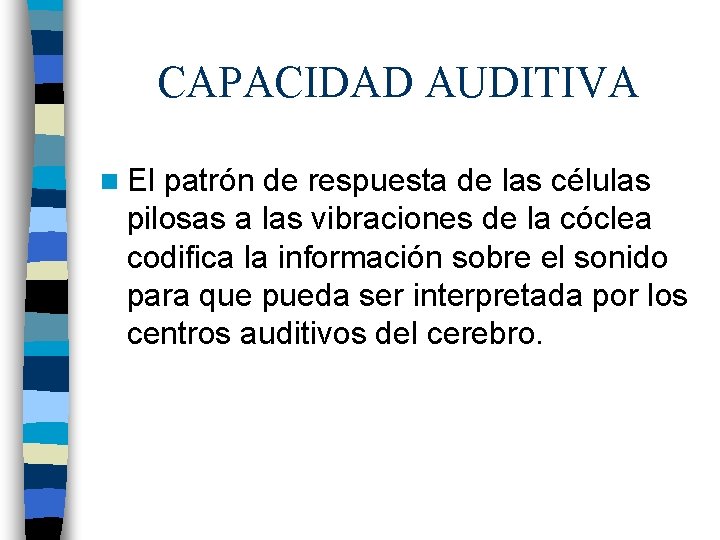 CAPACIDAD AUDITIVA n El patrón de respuesta de las células pilosas a las vibraciones