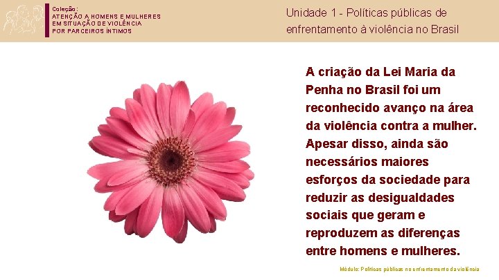 Coleção: ATENÇÃO A HOMENS E MULHERES EM SITUAÇÃO DE VIOLÊNCIA POR PARCEIROS ÍNTIMOS Unidade