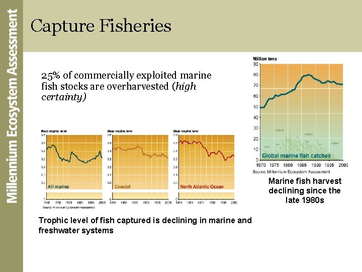 Capture Fisheries 25% of commercially exploited marine fish stocks are overharvested (high certainty) Marine