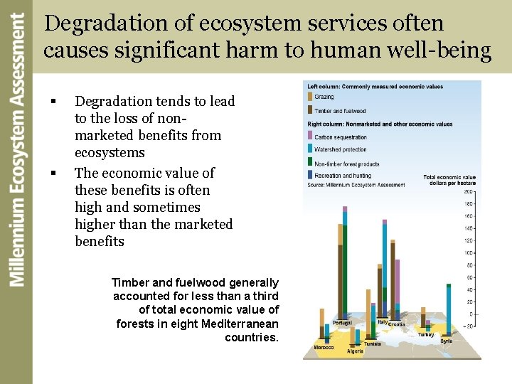 Degradation of ecosystem services often causes significant harm to human well-being § § Degradation