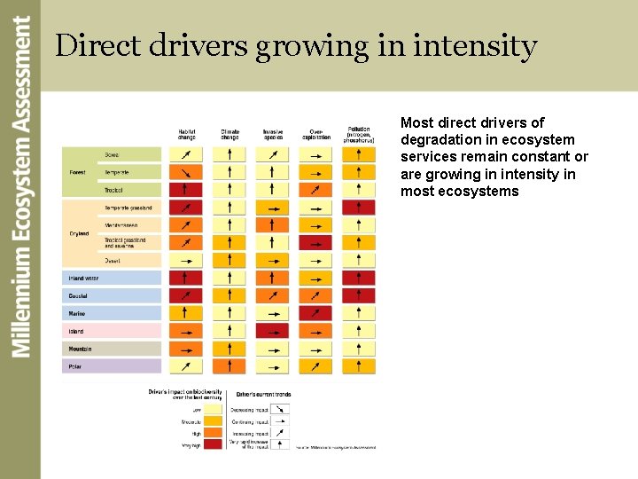 Direct drivers growing in intensity Most direct drivers of degradation in ecosystem services remain