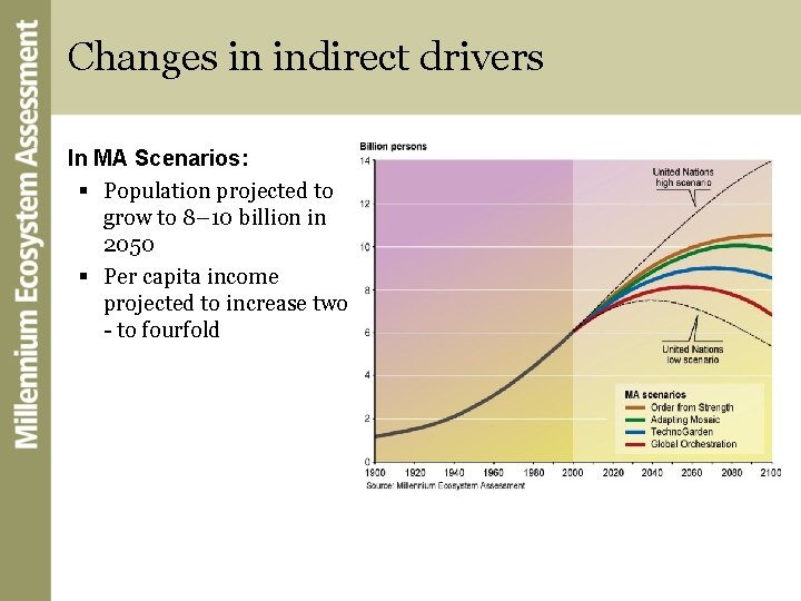 Changes in indirect drivers In MA Scenarios: § Population projected to grow to 8–