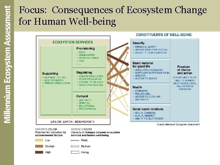 Focus: Consequences of Ecosystem Change for Human Well-being 