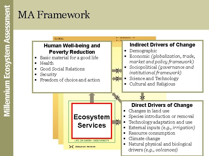 MA Framework Human Well-being and Poverty Reduction § § § Basic material for a